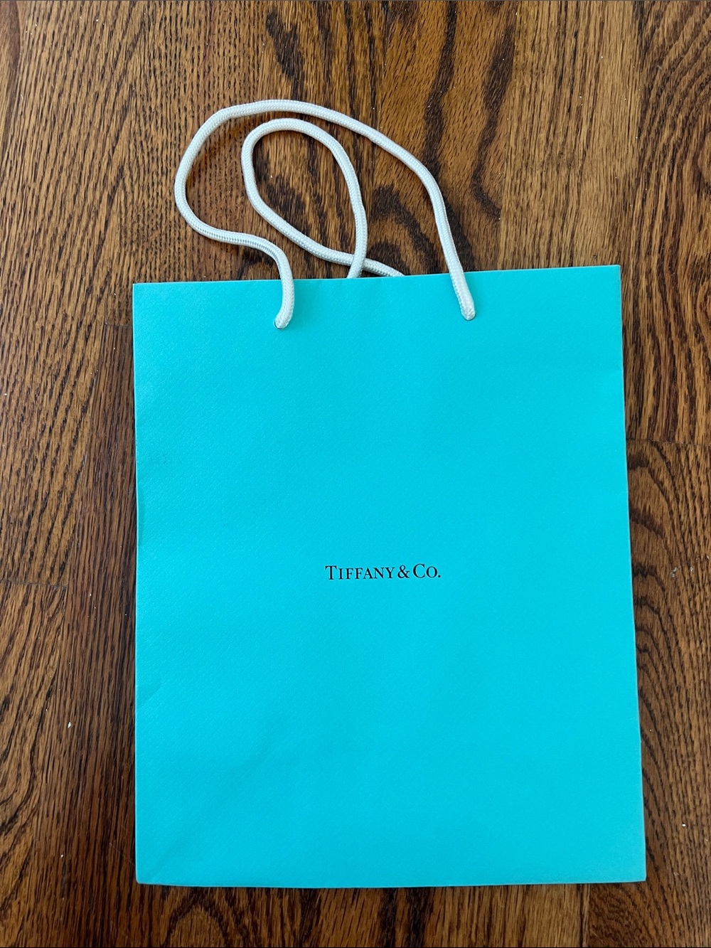 Tiffany & Co. Signature Blue Paper Tote with White Rope Handles
